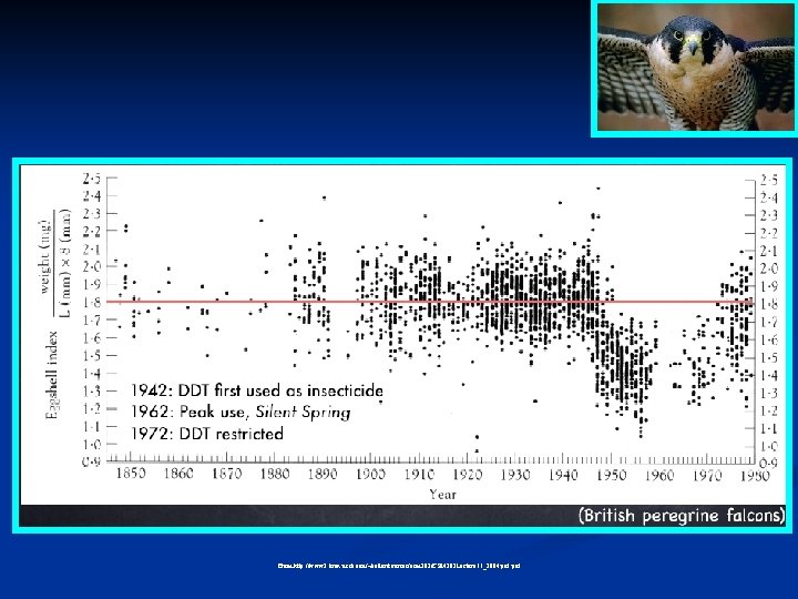 From http: //www 2. bren. ucsb. edu/~keller/courses/esm 202/ESM 202 Lecture 11_2004. pdf 