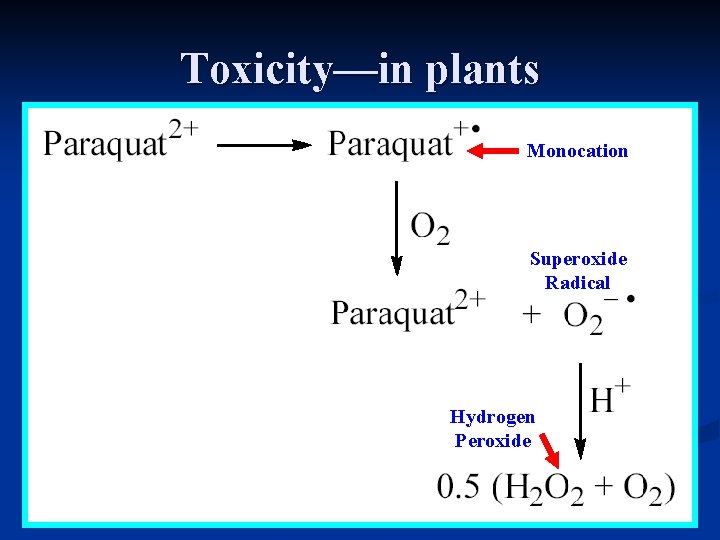 Toxicity—in plants Monocation Superoxide Radical Hydrogen Peroxide 