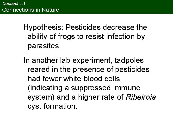 Concept 1. 1 Connections in Nature Hypothesis: Pesticides decrease the ability of frogs to