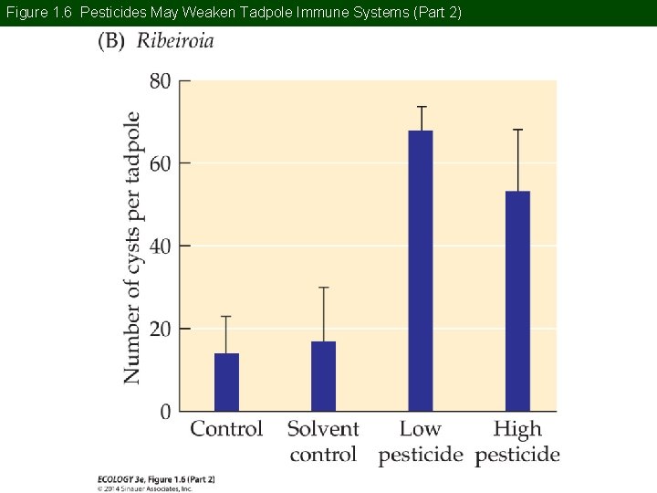 Figure 1. 6 Pesticides May Weaken Tadpole Immune Systems (Part 2) 