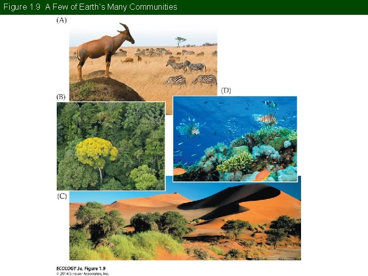 Figure 1. 9 A Few of Earth’s Many Communities 