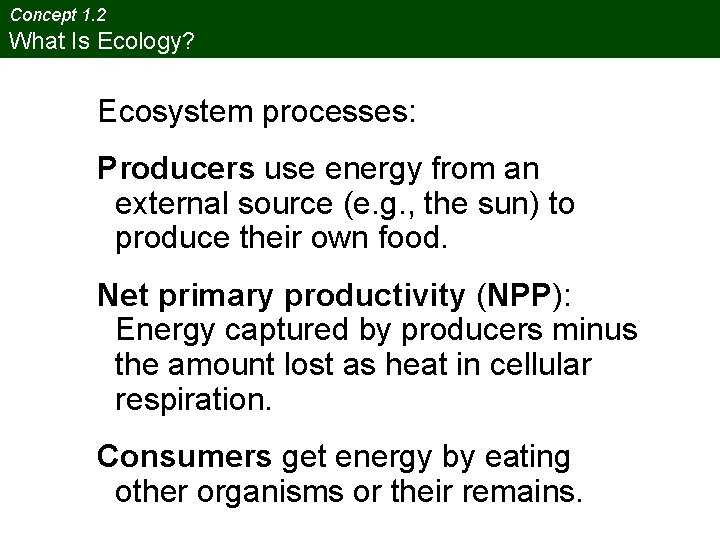 Concept 1. 2 What Is Ecology? Ecosystem processes: Producers use energy from an external