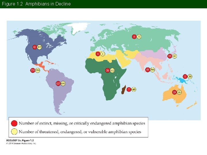 Figure 1. 2 Amphibians in Decline 