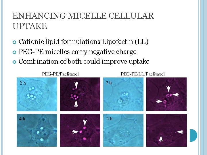 ENHANCING MICELLE CELLULAR UPTAKE Cationic lipid formulations Lipofectin (LL) PEG-PE micelles carry negative charge