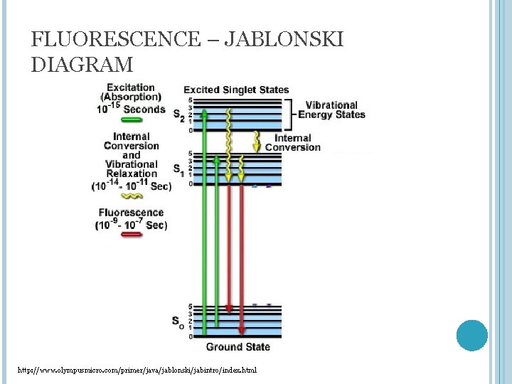 FLUORESCENCE – JABLONSKI DIAGRAM http: //www. olympusmicro. com/primer/java/jablonski/jabintro/index. html 