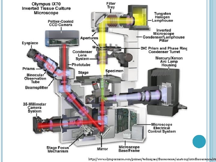 http: //www. olympusmicro. com/primer/techniques/fluorescence/anatomy/ix 70 fluorescence. htm 