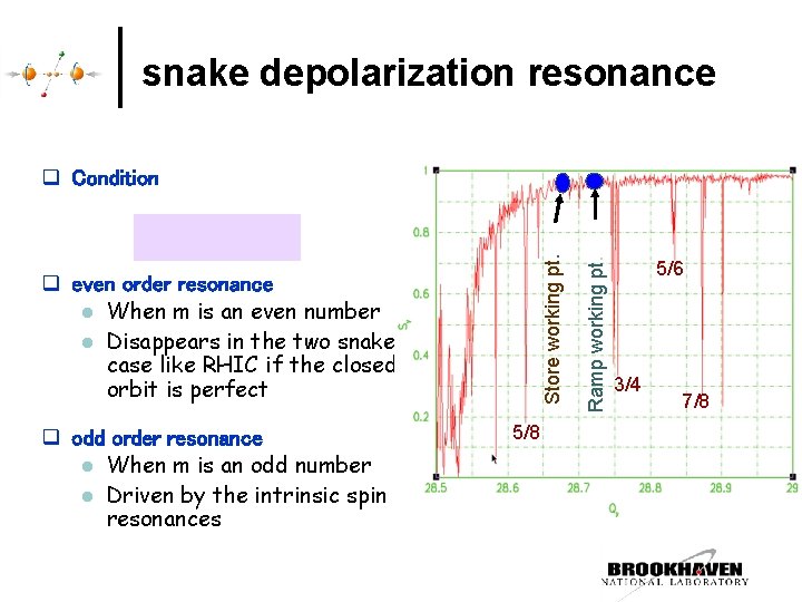 snake depolarization resonance q even order resonance l When m is an even number snake depolarization resonance q even order resonance l When m is an even number