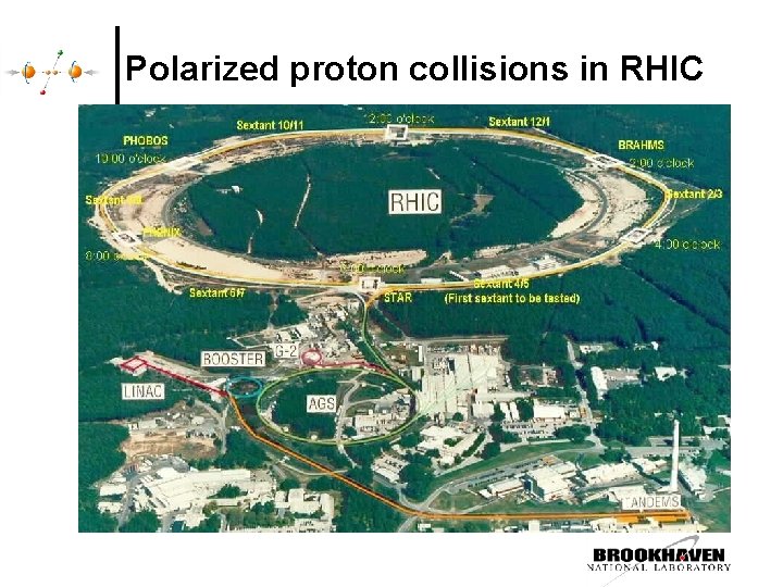 Polarized proton collisions in RHIC 