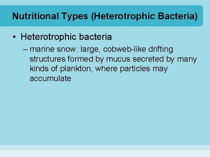 Nutritional Types (Heterotrophic Bacteria) • Heterotrophic bacteria – marine snow: large, cobweb-like drifting structures