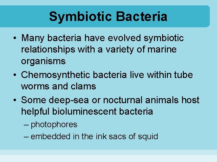 Symbiotic Bacteria • Many bacteria have evolved symbiotic relationships with a variety of marine