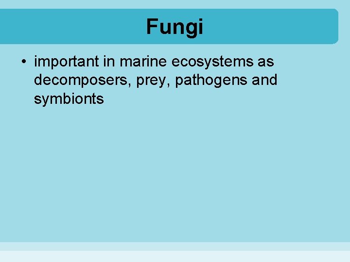 Fungi • important in marine ecosystems as decomposers, prey, pathogens and symbionts 