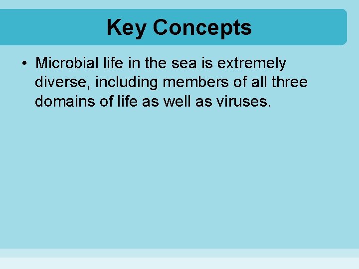 Key Concepts • Microbial life in the sea is extremely diverse, including members of