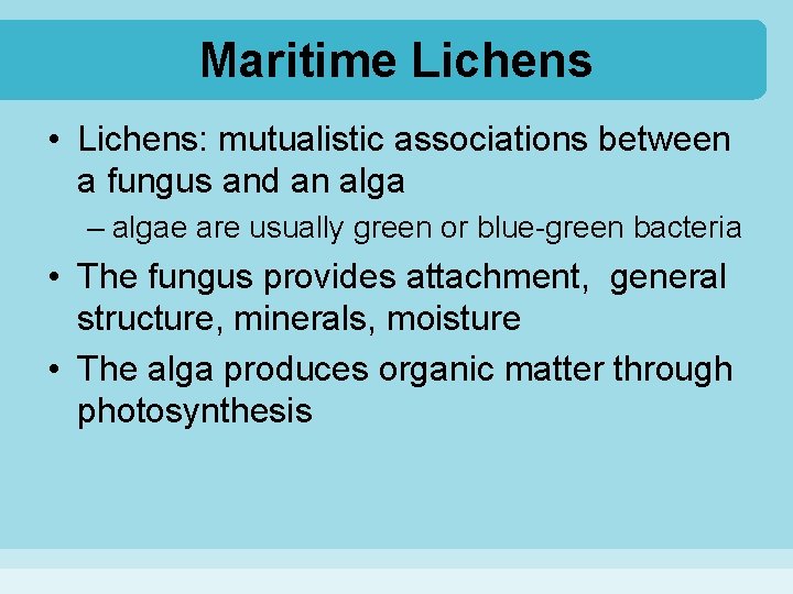 Maritime Lichens • Lichens: mutualistic associations between a fungus and an alga – algae