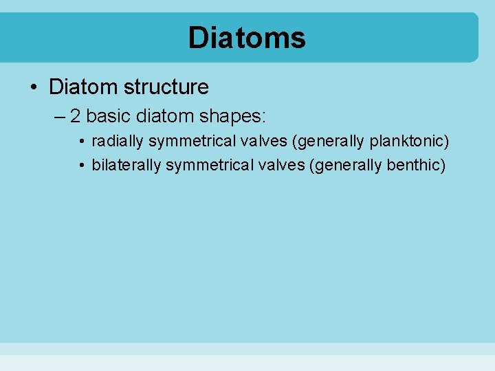 Diatoms • Diatom structure – 2 basic diatom shapes: • radially symmetrical valves (generally