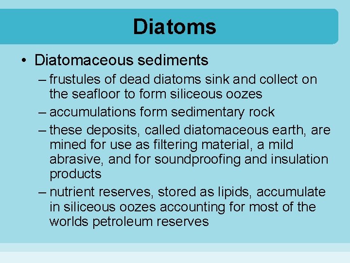 Diatoms • Diatomaceous sediments – frustules of dead diatoms sink and collect on the