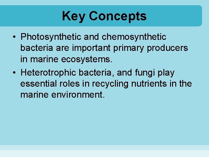Key Concepts • Photosynthetic and chemosynthetic bacteria are important primary producers in marine ecosystems.