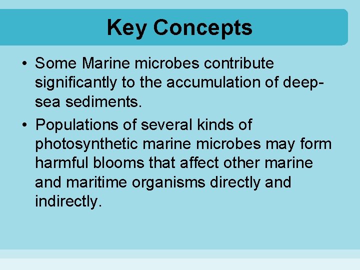 Key Concepts • Some Marine microbes contribute significantly to the accumulation of deepsea sediments.