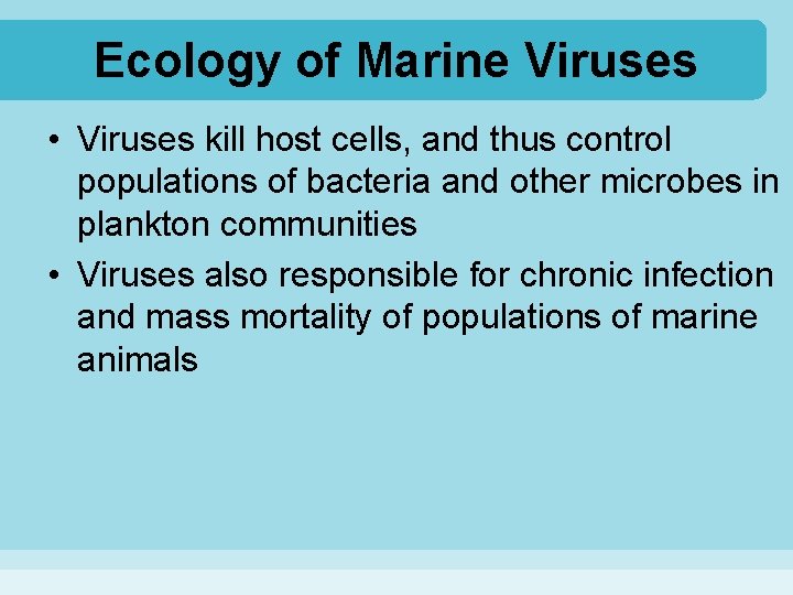 Ecology of Marine Viruses • Viruses kill host cells, and thus control populations of