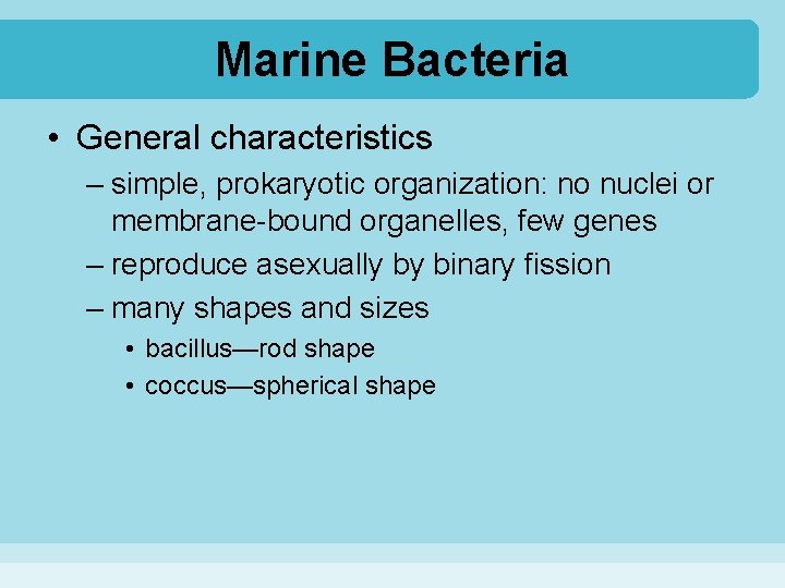 Marine Bacteria • General characteristics – simple, prokaryotic organization: no nuclei or membrane-bound organelles,