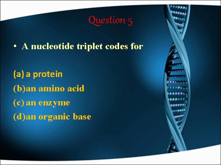 Question 5 • A nucleotide triplet codes for (a) a protein (b)an amino acid