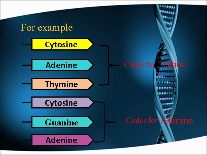 For example Cytosine Adenine Thymine Cytosine Guanine Adenine Valine 