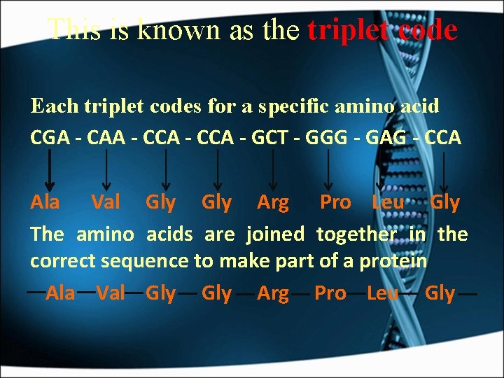 This is known as the triplet code Each triplet codes for a specific amino