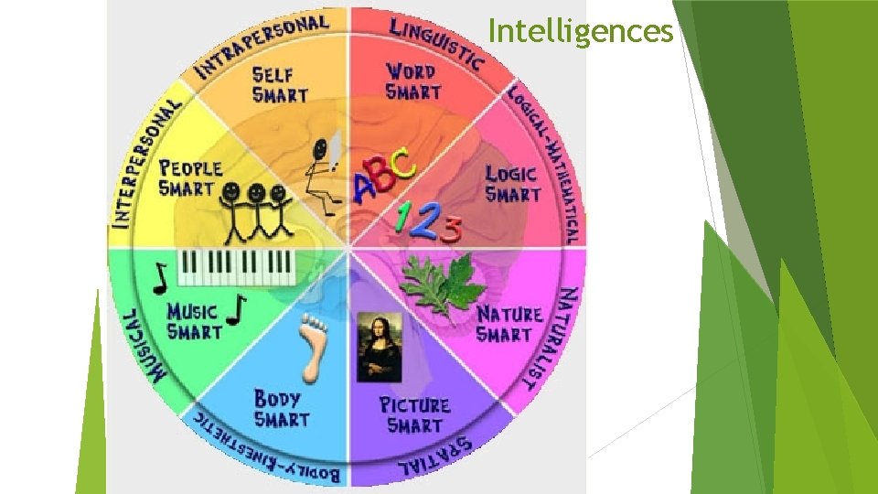 Intelligences 