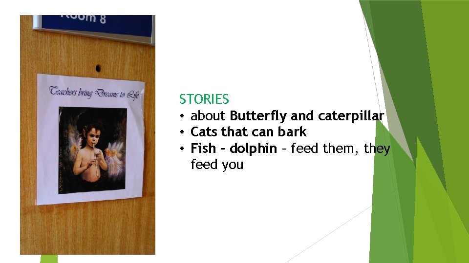 STORIES • about Butterfly and caterpillar • Cats that can bark • Fish –