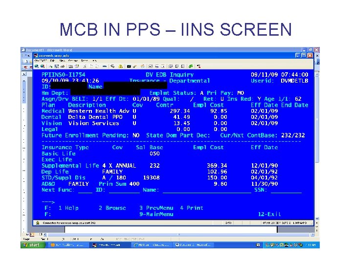 MCB IN PPS – IINS SCREEN 