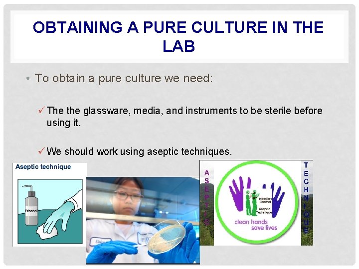 OBTAINING A PURE CULTURE IN THE LAB • To obtain a pure culture we