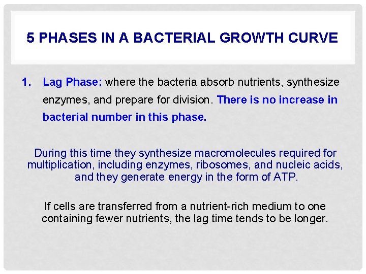 5 PHASES IN A BACTERIAL GROWTH CURVE 1. Lag Phase: where the bacteria absorb