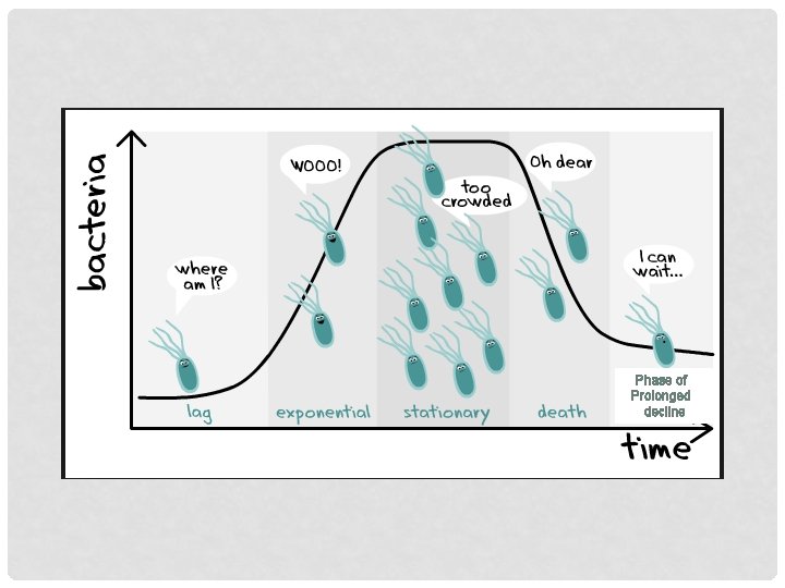 Phase of Prolonged decline 