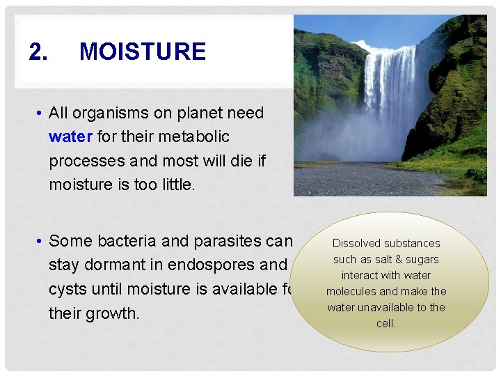 2. MOISTURE • All organisms on planet need water for their metabolic processes and