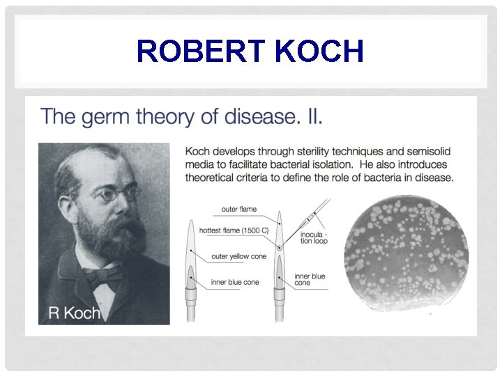 ROBERT KOCH 