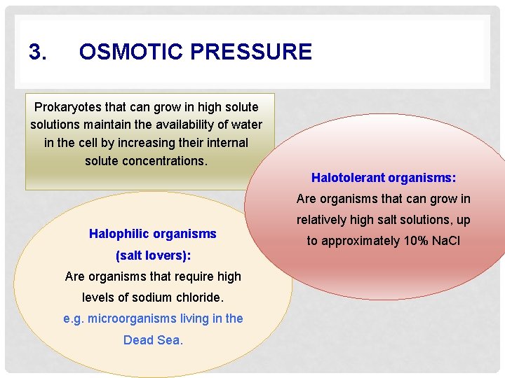 3. OSMOTIC PRESSURE Prokaryotes that can grow in high solute solutions maintain the availability