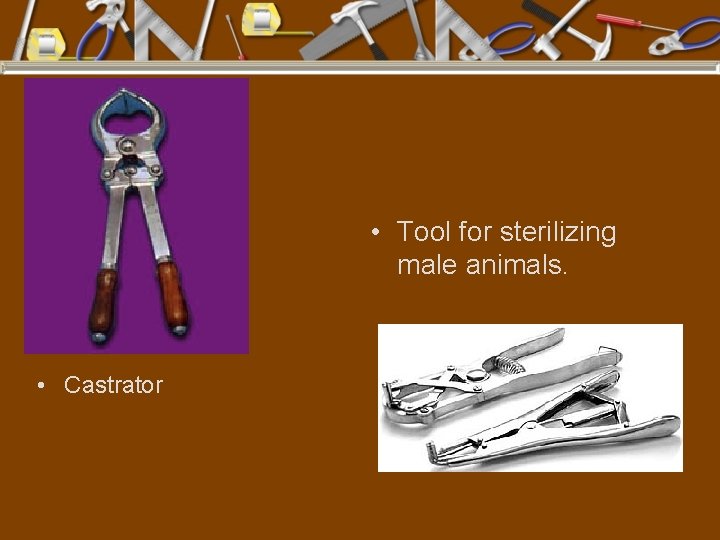  • Tool for sterilizing male animals. • Castrator 