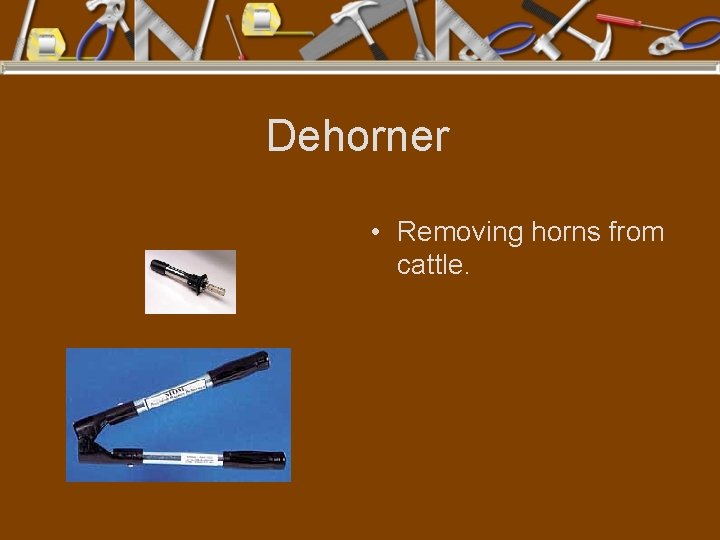 Dehorner • Removing horns from cattle. 