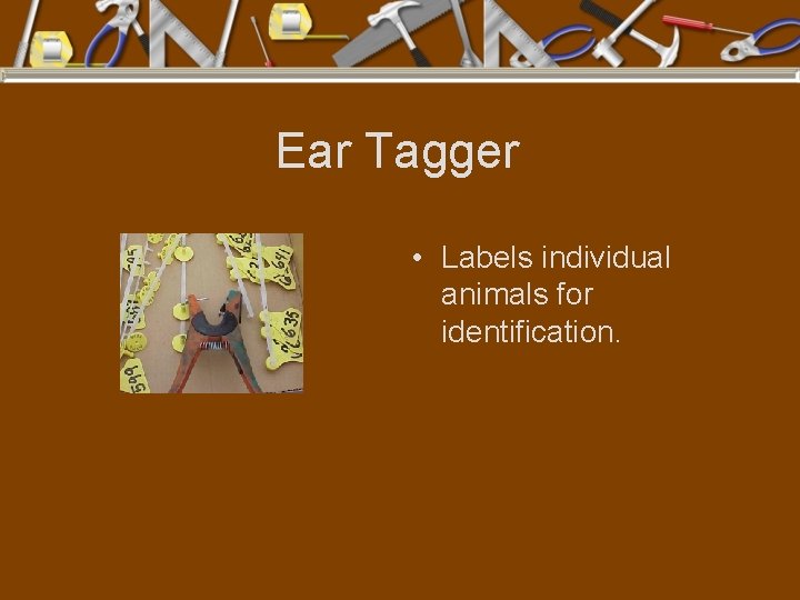 Ear Tagger • Labels individual animals for identification. 