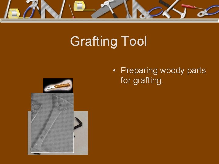 Grafting Tool • Preparing woody parts for grafting. 