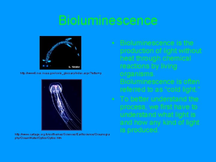 Bioluminescence http: //www 8. nos. noaa. gov/coris_glossary/index. aspx? letter=p http: //www. cartage. org. lb/en/themes/Sciences/Earthscience/Oceanogra