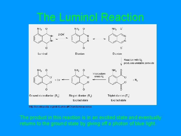 The Luminol Reaction http: //en. wikipedia. org/wiki/Luminol#Chemiluminescence The product in this reaction is in