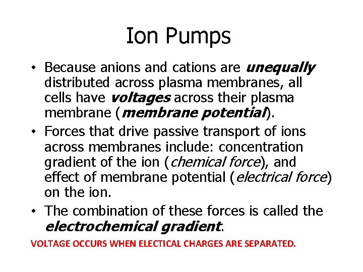 Ion Pumps • Because anions and cations are unequally distributed across plasma membranes, all