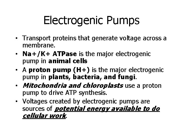 Electrogenic Pumps • Transport proteins that generate voltage across a membrane. • Na+/K+ ATPase