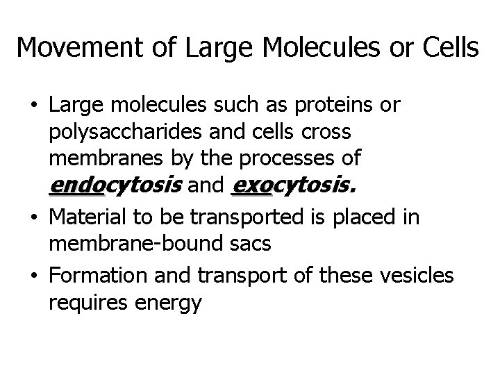 Movement of Large Molecules or Cells • Large molecules such as proteins or polysaccharides