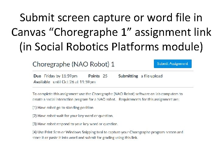 Submit screen capture or word file in Canvas “Choregraphe 1” assignment link (in Social