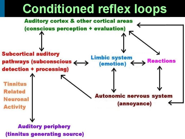 Conditioned reflex loops 