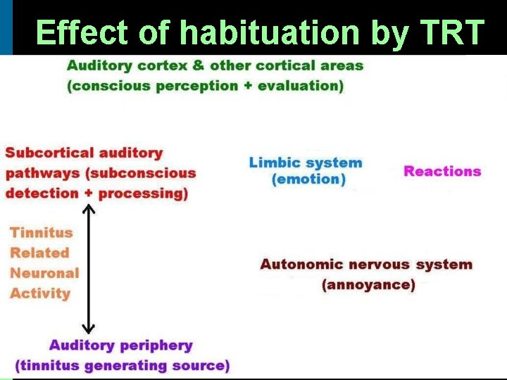 Effect of habituation by TRT 