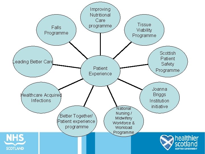 Falls Programme Improving Nutritional Care programme Tissue Viability Programme Scottish Patient Safety Programme Leading