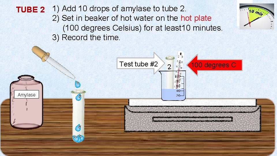 TUBE 2 1) Add 10 drops of amylase to tube 2. 2) Set in