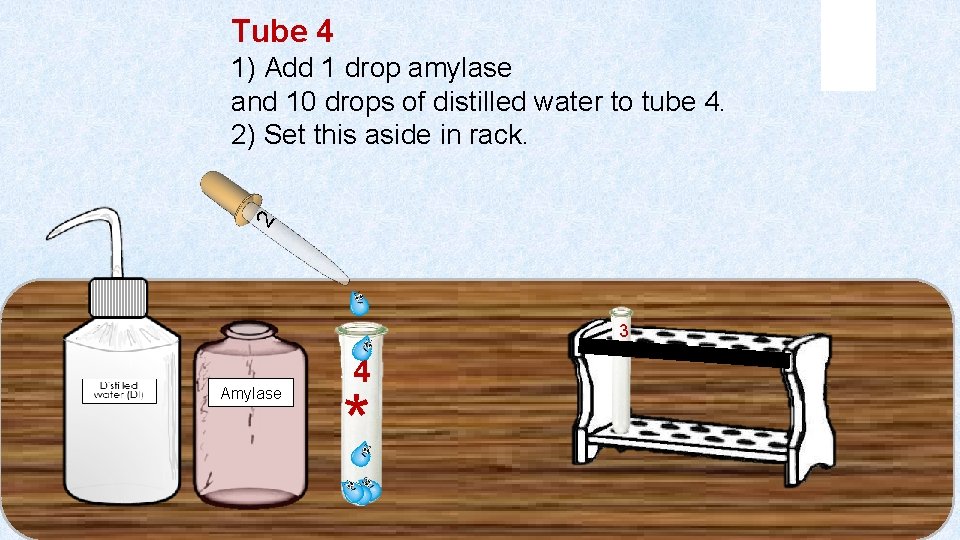 Tube 4 2 1) Add 1 drop amylase and 10 drops of distilled water